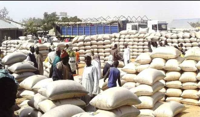 Prices crashed as Kano opens 10 warehouses accused of hoarding foodstuffs