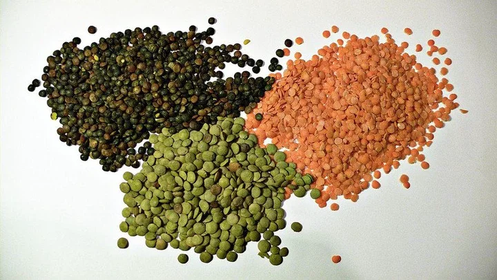 Lentils 