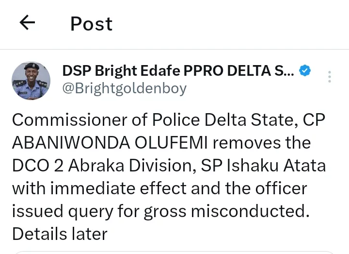 Delta State Police PRO confirms the removal of DCO who used N1m extorted from man to pay school fees of daughter
