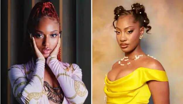 Nigerian celebrities that look like siblings