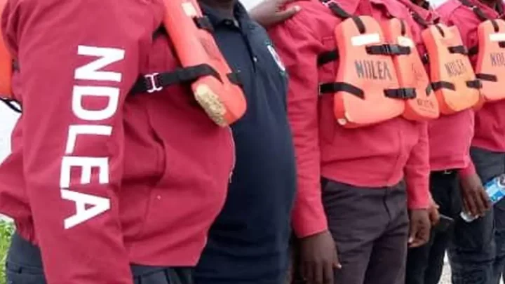 NDLEA intercepts 60 bags of Ghanaian 'Loud', others in Lagos