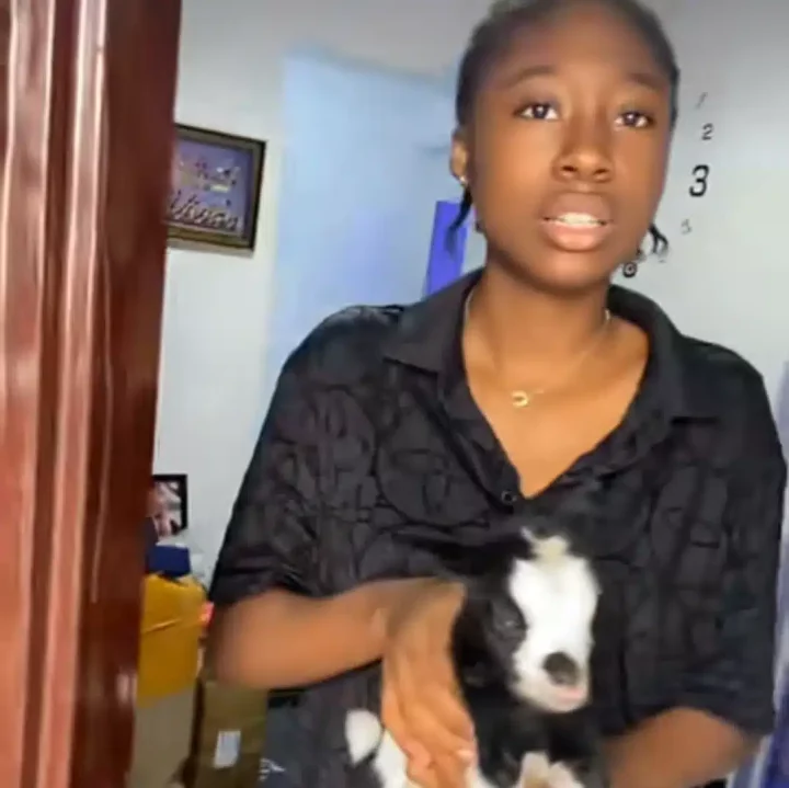 Nigerian mother sparks conversation, gifts daughter pet goat as 'new sister'