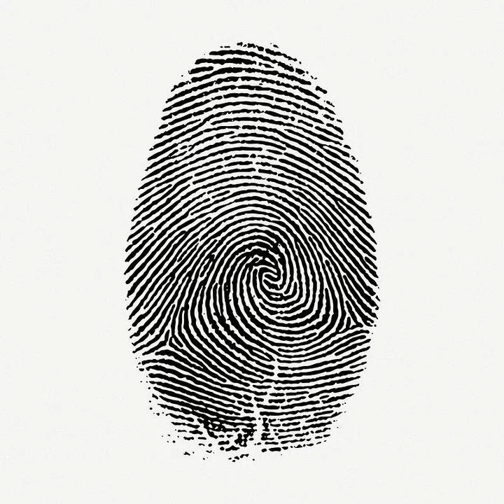 8 Different Types of Fingerprints