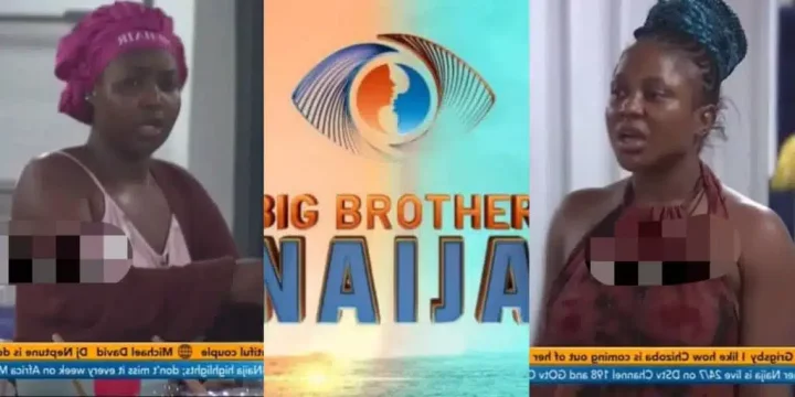 BBNaija: 'Cheap girls wey dey fuck for Lekki for ₦30k' - Ruthee labels Wanni X Handi prostitutes