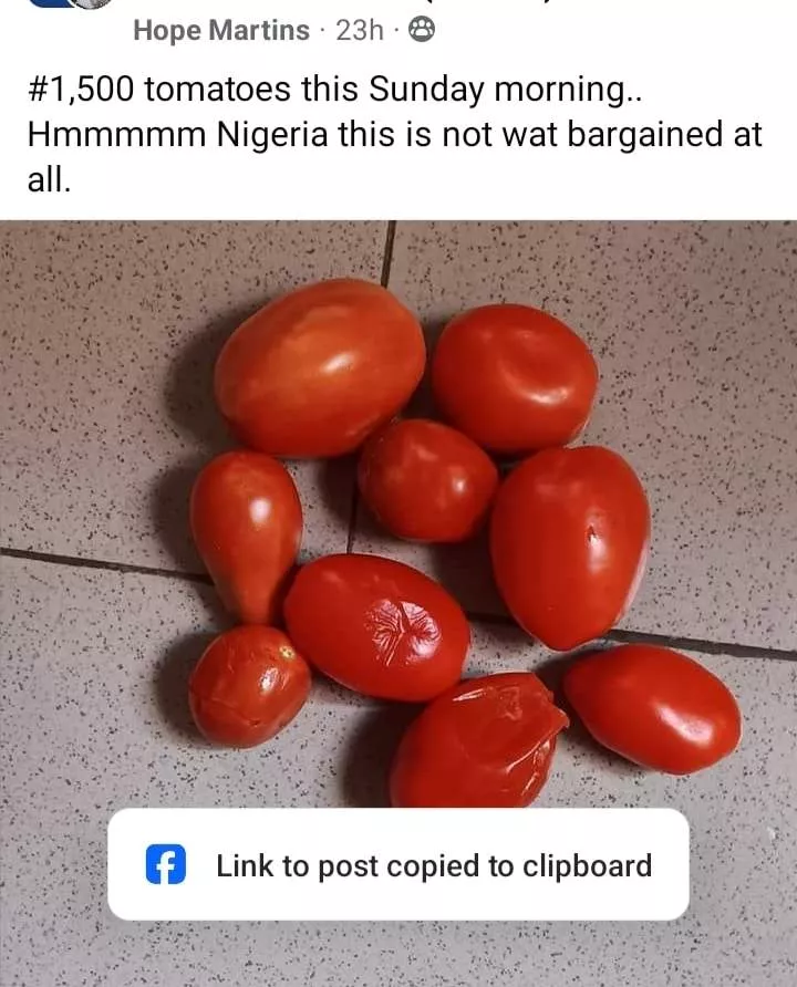 Nigerian lady posts photo of few tomatoes she bought for N1,500 at market