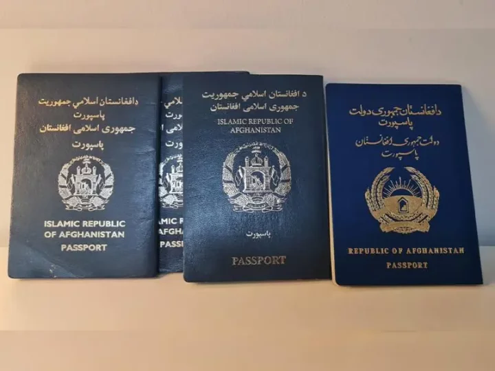 This is the most useless passport in the world [menafm]