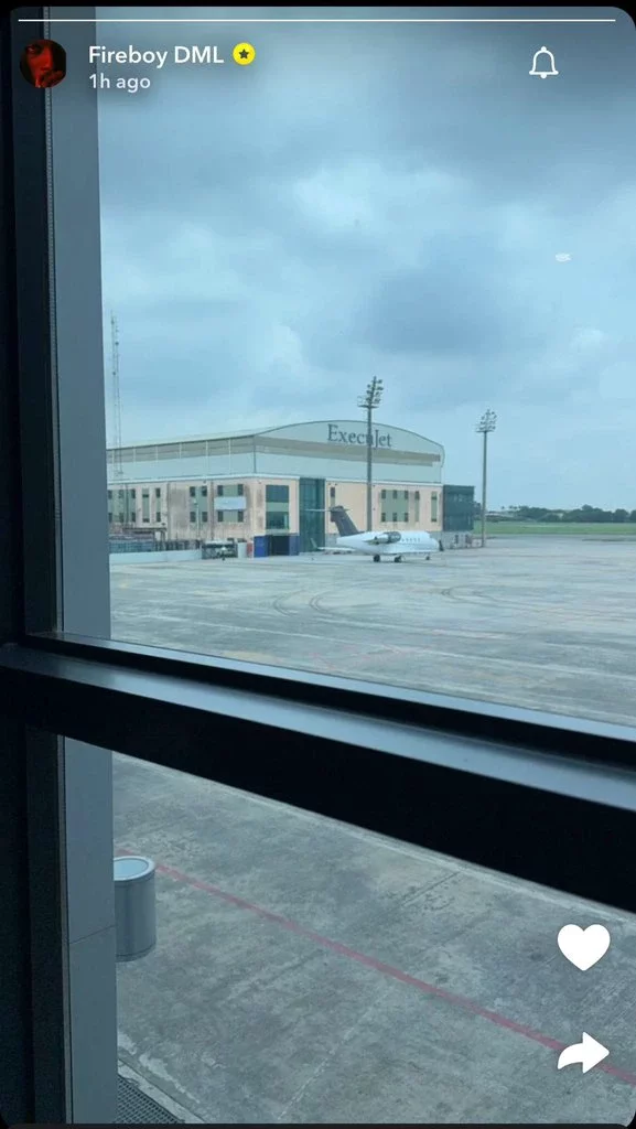 Nigerians react as Fireboy DML shows off private jet - Torizone