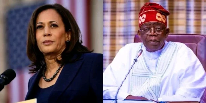 US Vice President Harris calls Tinubu, makes demands after coup in Niger