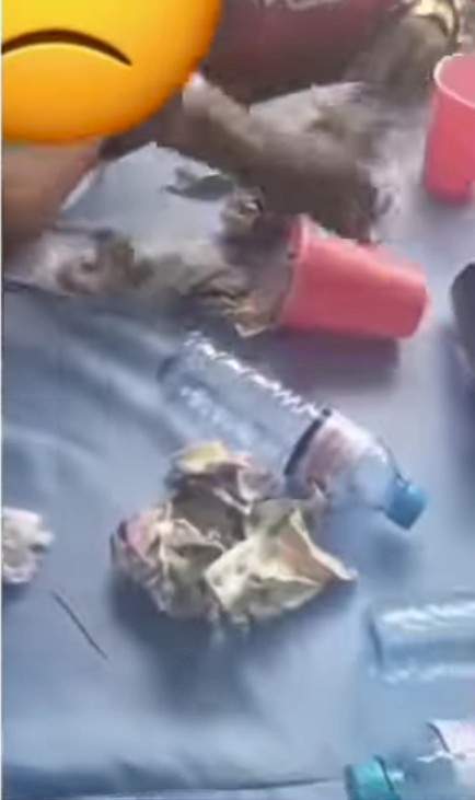 Woman caught stealing money sprayed on celebrants at an event escapes being beaten as MC Edo Pikin intervenes [Video]