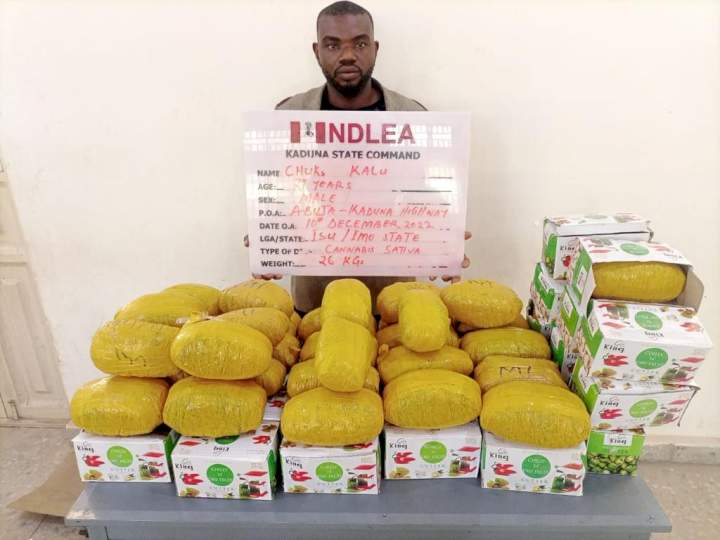 NDLEA uncovers underground drug bunk used by suspected drug kingpin to store banned substances in Delta&nbsp; (video)