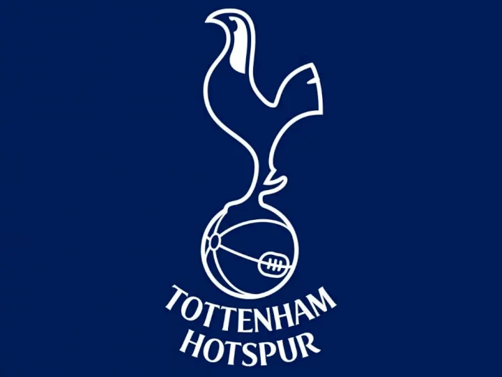 EPL: Tottenham's next manager revealed