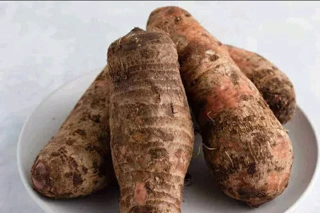 Health Problems You Never Knew Cocoyam Could Help Manage or Prevent