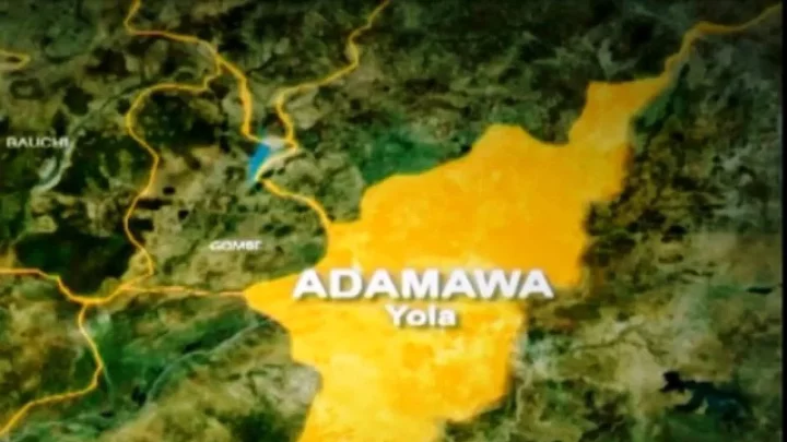 Schoolboy dies from alleged torture over stolen phone in Adamawa