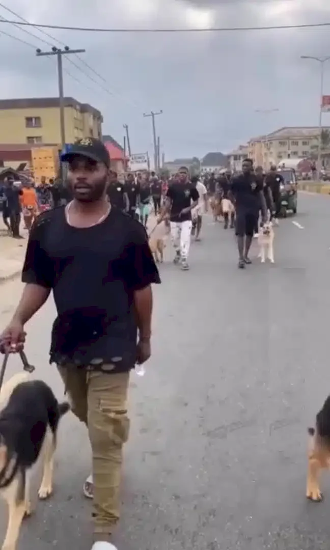 'Na why Buhari no get our time' - Reactions trail dog carnival in Port Harcourt (Video)