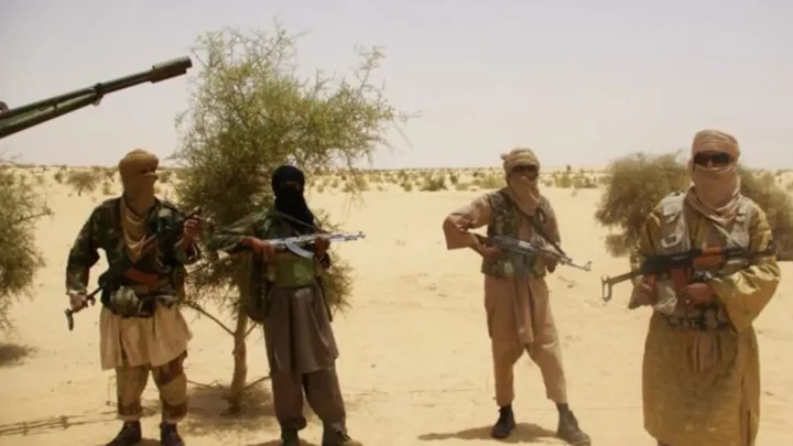 Jihadists from Niger, Mali, Libya taxing Nigerian farmers - Rep