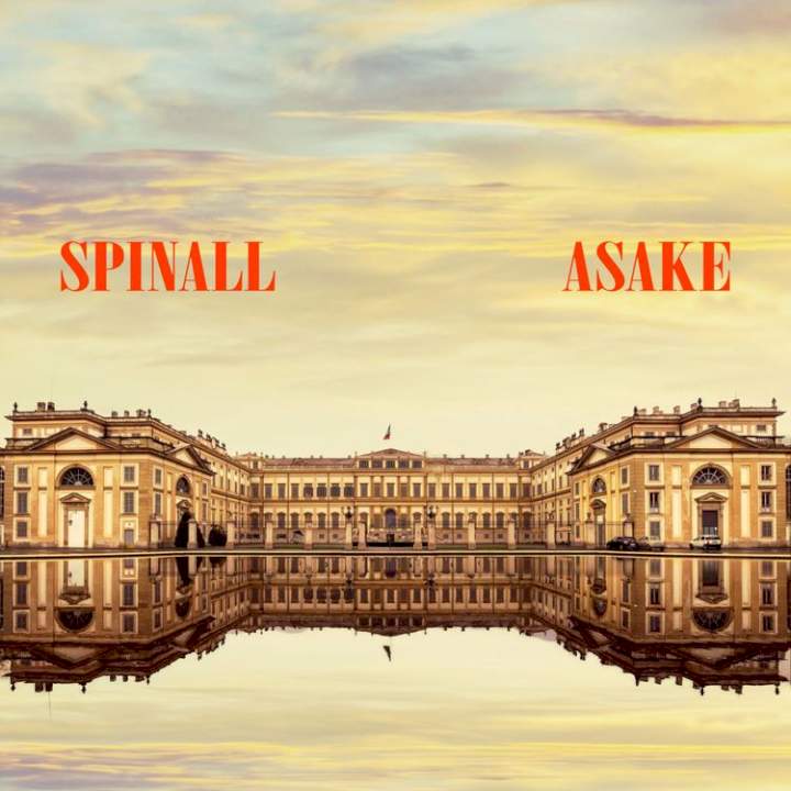DJ Spinall - PALAZZO (feat. Asake)