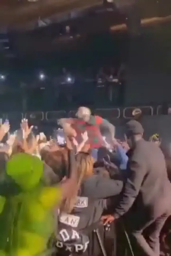 Excited Davido jumps into crowd during New York Concert (Video)