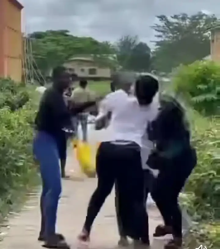 UNICROSS female students engage in messy fight over 'man' on campus (Video)