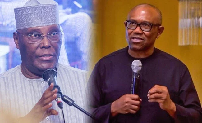 Atiku, Obi, going to Supreme Court may end up in futility - Kwankwaso