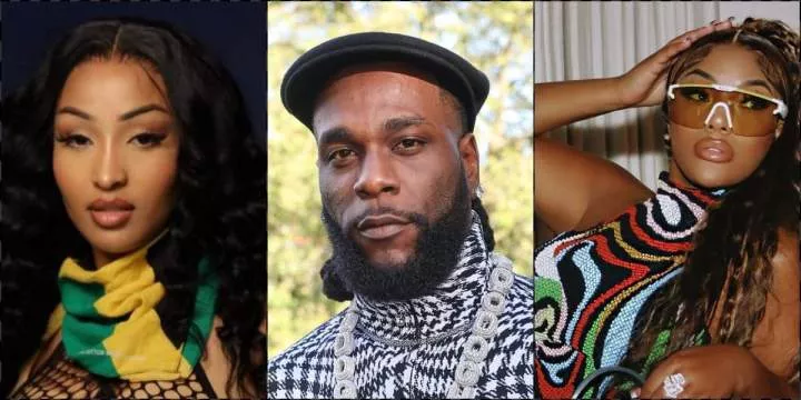 Stefflon Don, Jada Kingdom fight dirty over Burna Boy