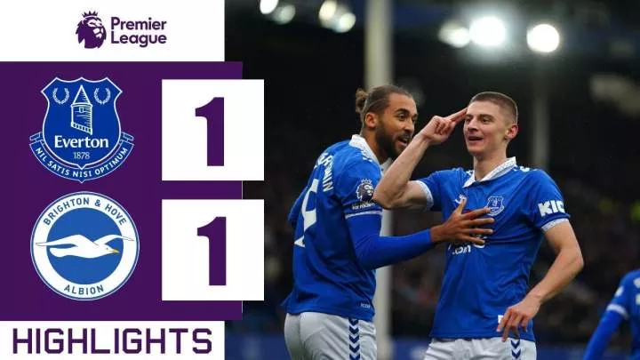 Everton 1 - 1 Brighton (Nov-4-2023) Premier League Highlights