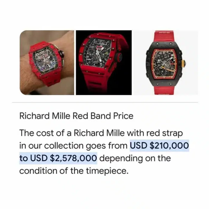 'You have Richard Mille wristwatches worth N1B yet you advise Nigerians to endure' - Netizen drags Seyi Tinubu