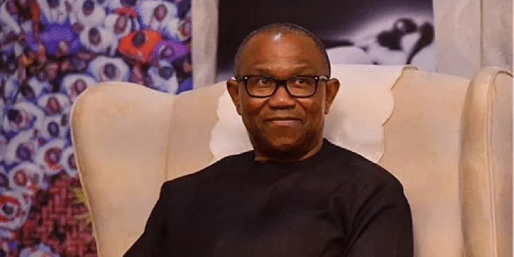 "How greedy team member pocketed N60M donated to Peter Obi during 2023 election campaign" - Obidient Supporter reveals