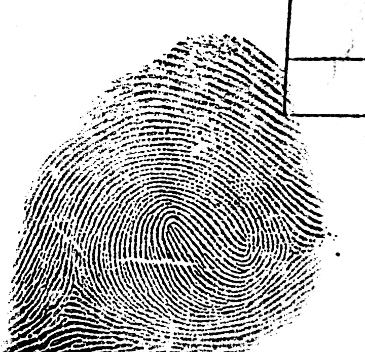 8 Different Types of Fingerprints