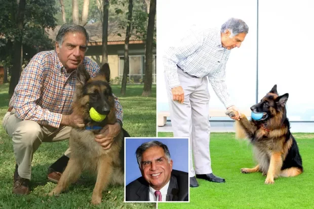 Indian Billionaire leaves large chunk of his £91million fortune to his DOG in his will