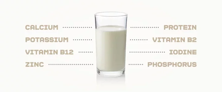 Milk or Creamers? What you need to know!