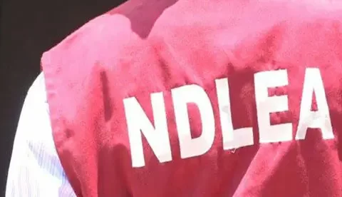 NDLEA proposes mandatory drug test for prospective couples