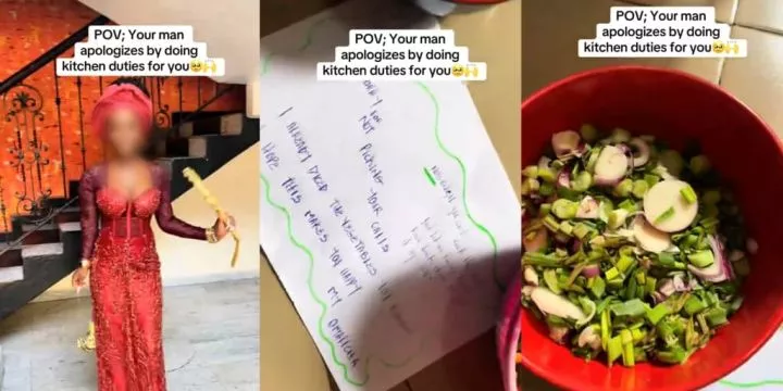 Lady flaunts apology letter from partner, who offers to do kitchen duties after missing her call