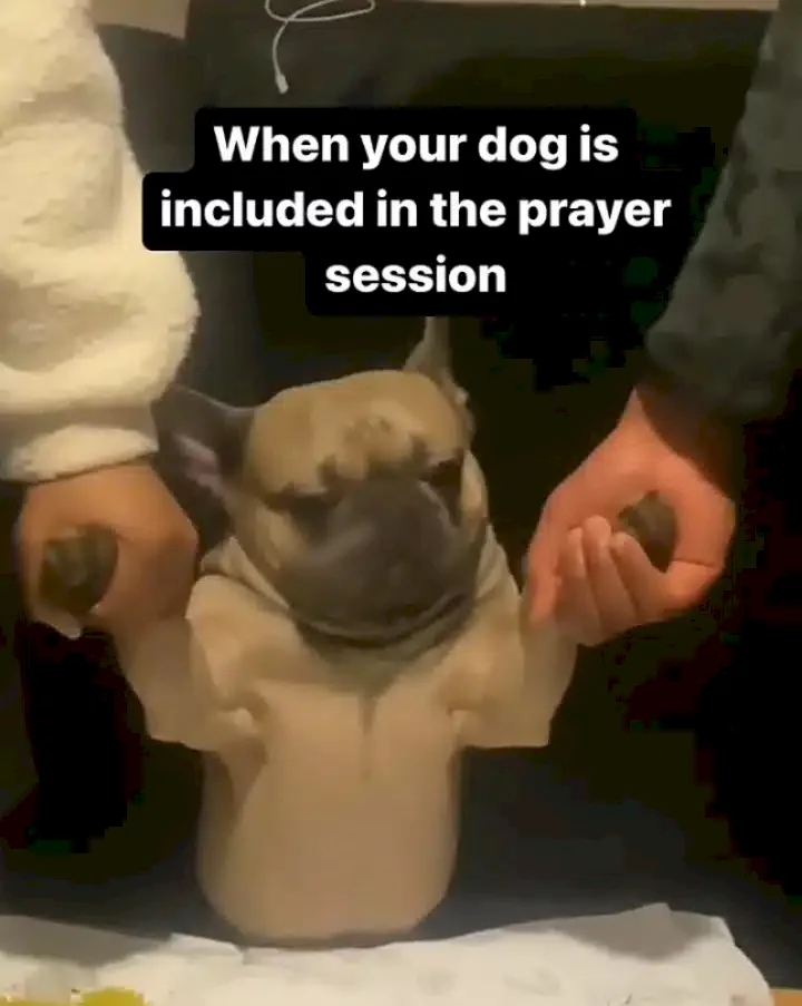 'Every living thing must praise the Lord' - Reactions as Nigerian family involve their dog in New Year's day prayers (Video)