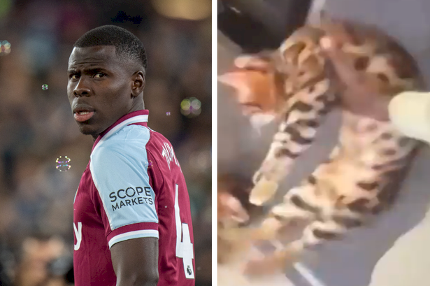 West Ham and French footballer, Kurt Zouma could face up to four years in French prison for kicking his cat
