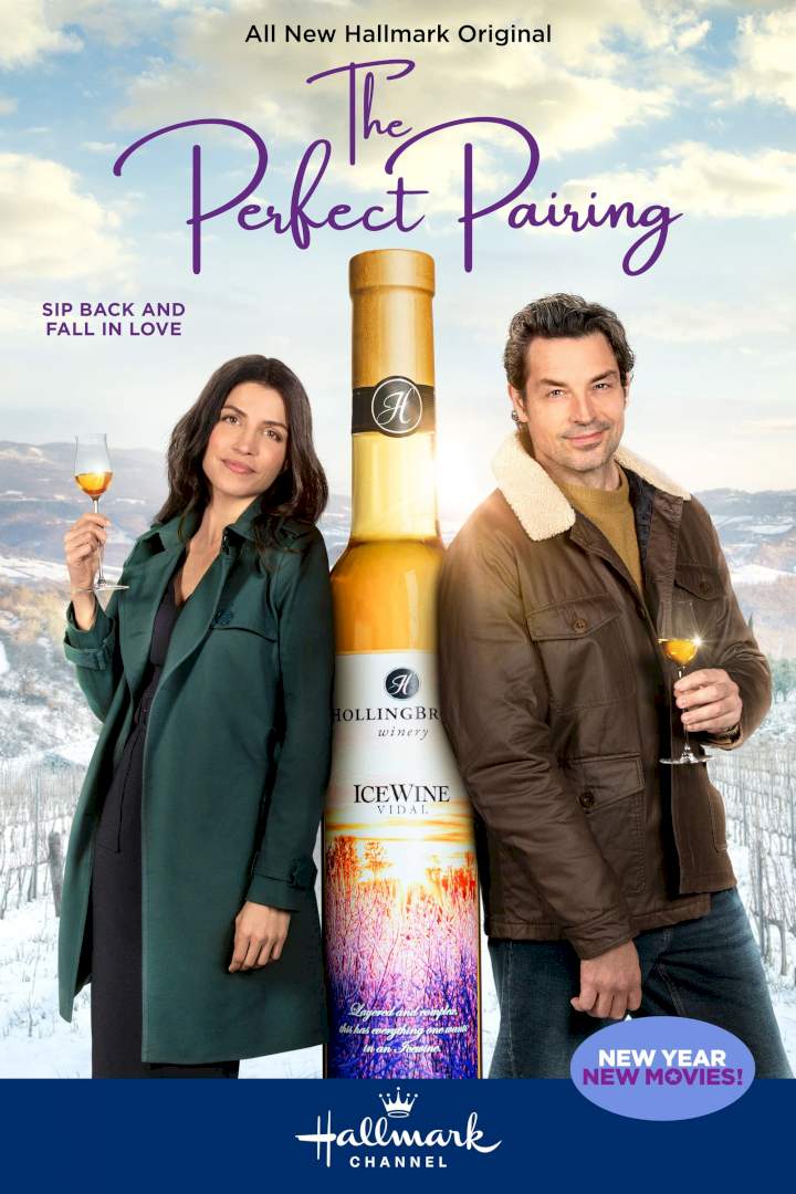 The Perfect Pairing (2022) | Mp4 DOWNLOAD – NetNaija Movies