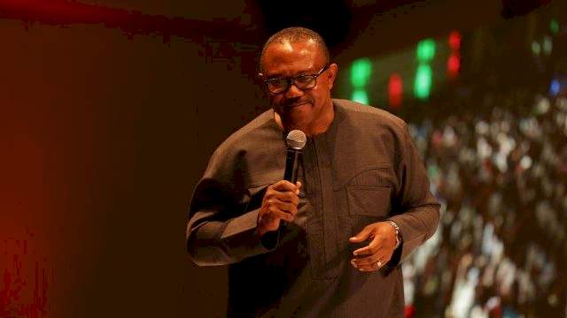 Pat Utomi steps down for Peter Obi at Labour Party presidential primary