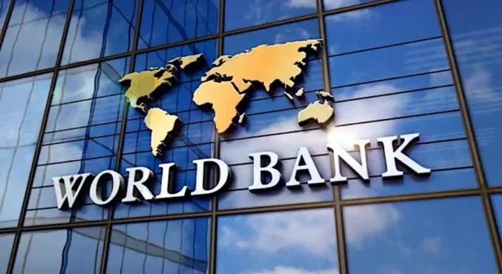 Don't Renege on Fuel Subsidy Removal, You're on Right Track - World Bank to Tinubu