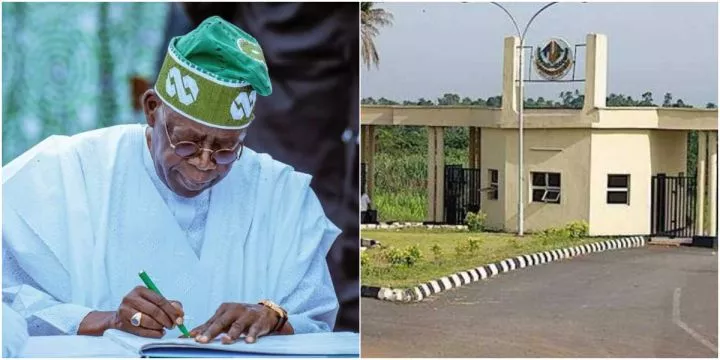 Tinubu converts TASUED to federal university