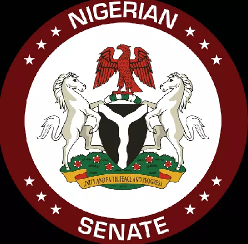 Senate Blames Intelligence Failure For Borno Suicide Bombing