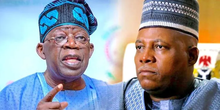 Tinubu understands business, reforms are in Nigeria's best interest - Shettima