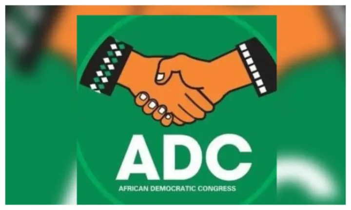 ADC's entire leadership steps down after adoption by coalition