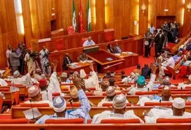 Senate passes bill mandating 30% pre-export processing of local raw materials Senate passes bill mandating 30% pre-export processing of local raw materials