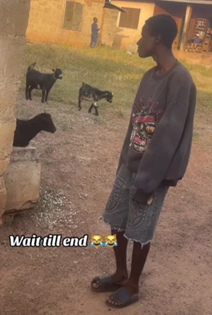 'Help me find this boy for this December' - Netizens react as boy 'professionally' catches goat by its neck (WATCH)