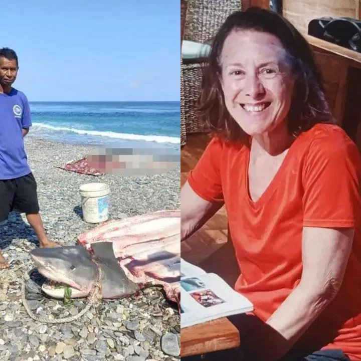 Woman's body cut out of shark that ate her while she was on dream trip