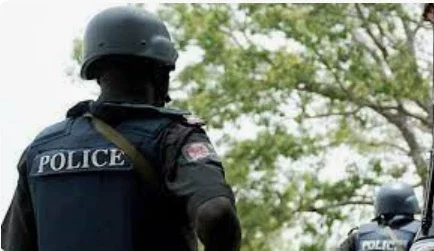 October 1 protest: Akwa Ibom police battle ready, says spokesman