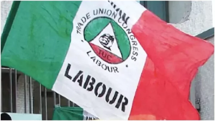 Labour gives reason for rejecting N48,000 minimum wage, insists on N615,000