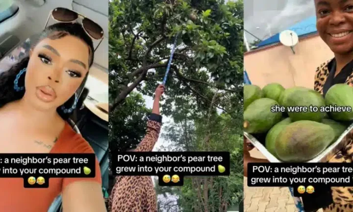 Slayqueen suspends her 'steeze' to pluck pear from neighbour's tree, video stirs reactions