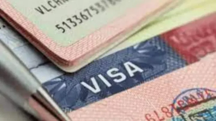 FG to cancel visa-on-arrival policy, to introduce landing, exit cards