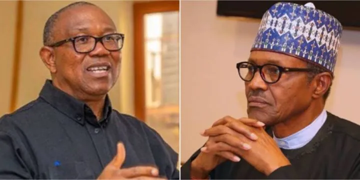 "Buhari begged me to fight for the poor" - Peter Obi