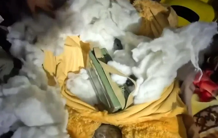 A green box filled with ammo was also pulled from the stuffed toy